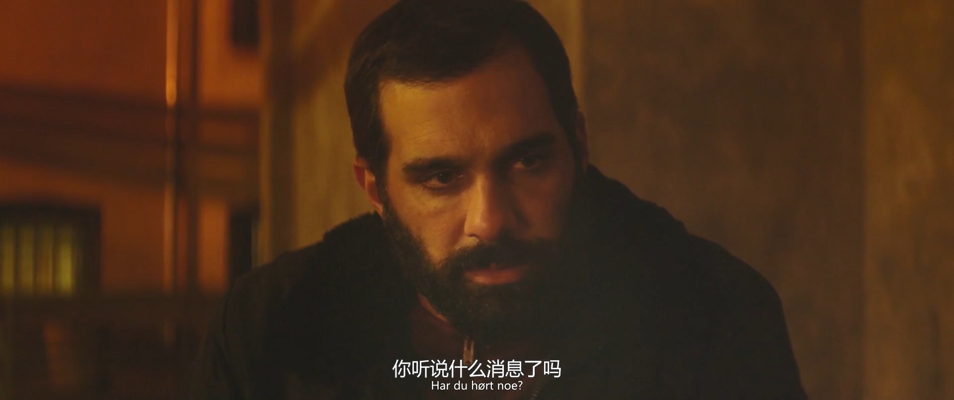 丹麦之子剧照的剧照