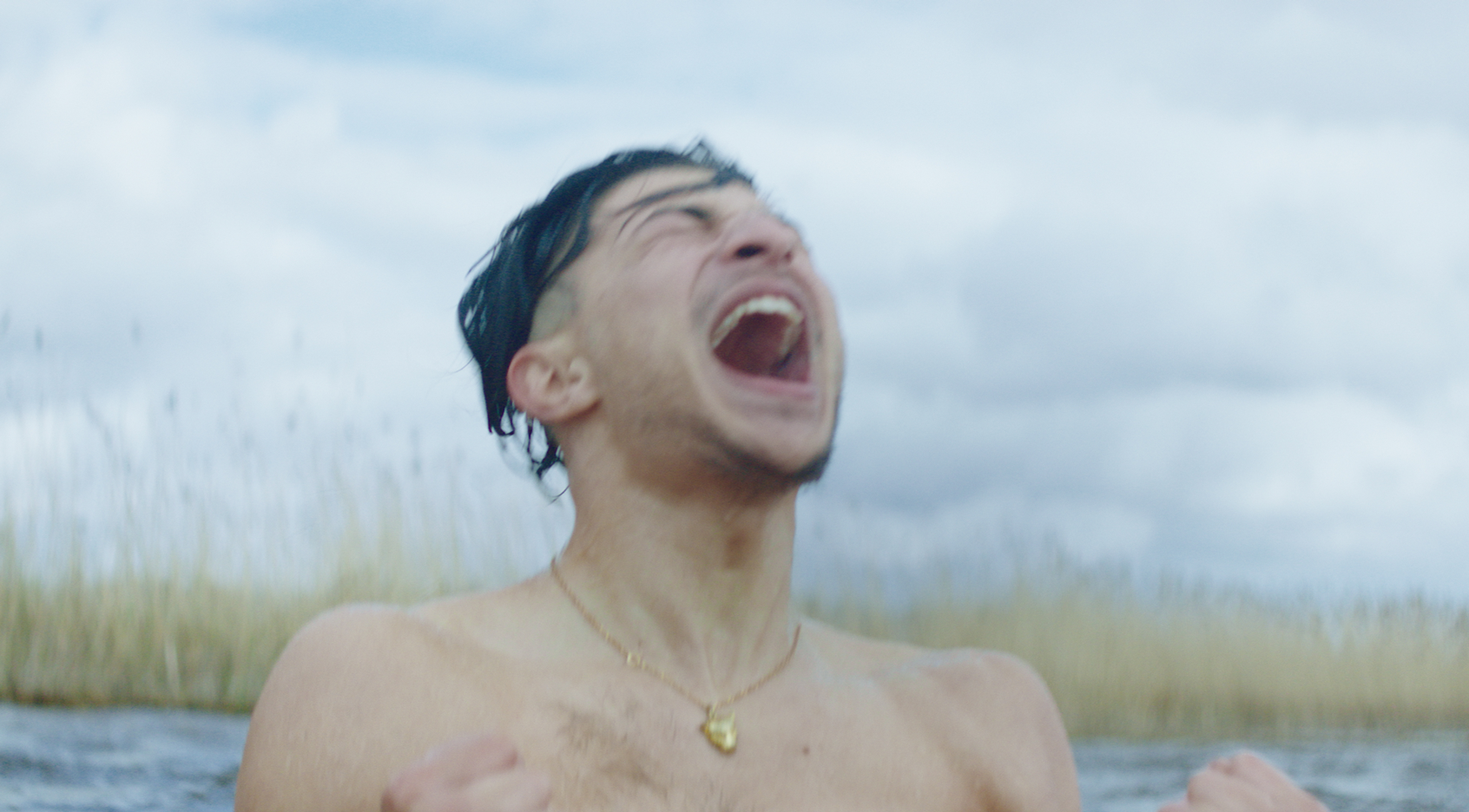 丹麦之子剧照的剧照