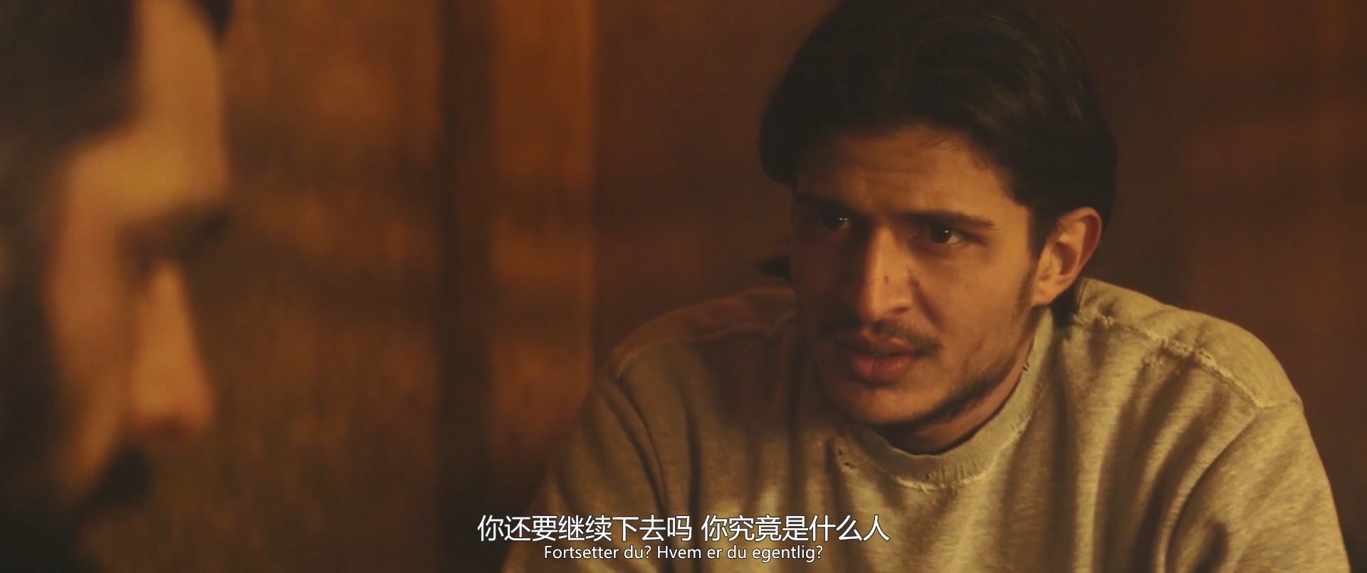 丹麦之子剧照的剧照