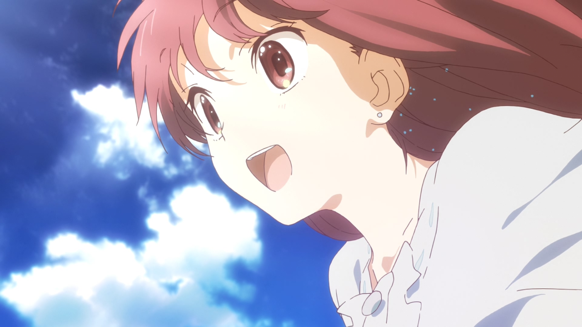 庇护所剧照的剧照