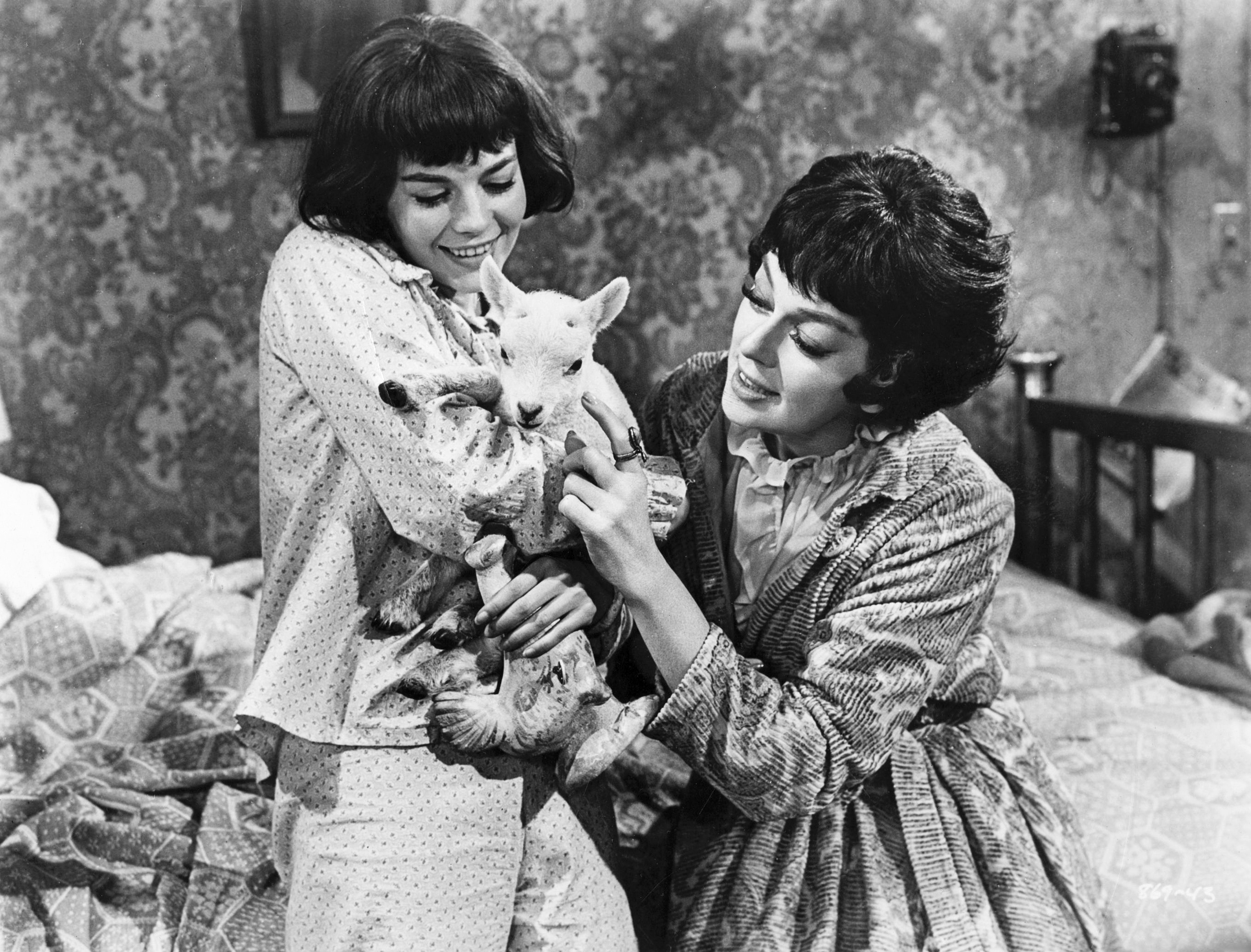 玫瑰舞后剧照的剧照