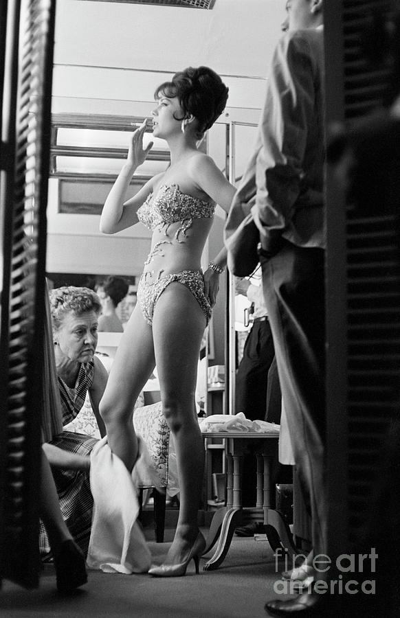 玫瑰舞后剧照的剧照