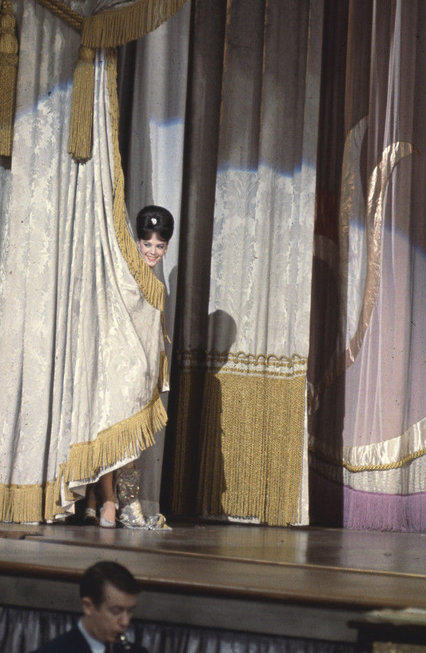 玫瑰舞后剧照的剧照