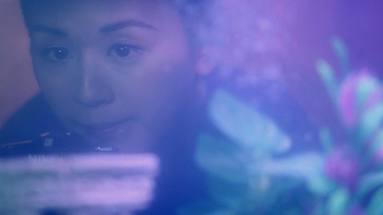 大蓝湖剧照的剧照