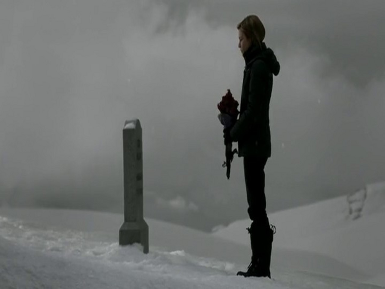 三十极夜2：黑暗的日子剧照的剧照