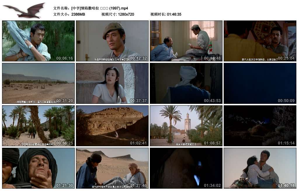 情陷撒哈拉剧照的剧照