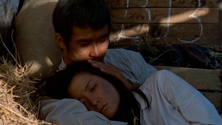 情陷撒哈拉剧照的剧照