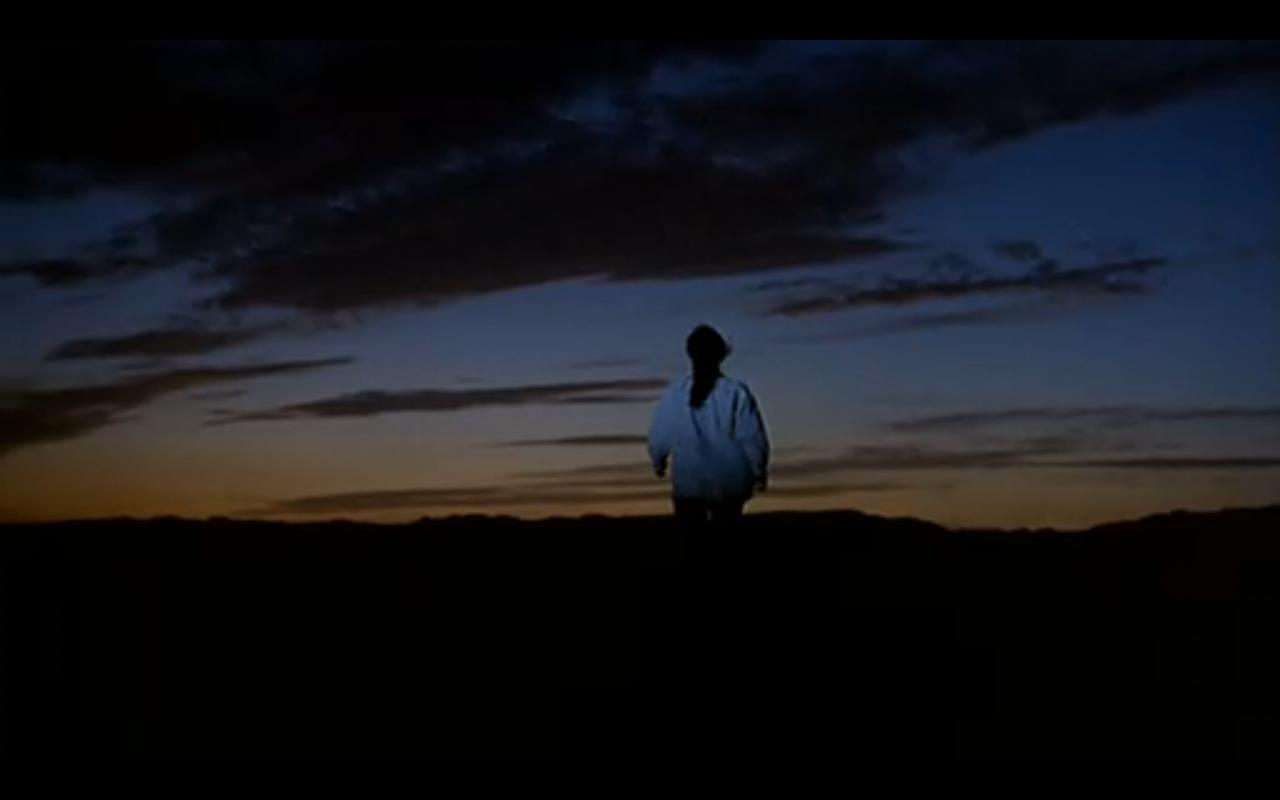 情陷撒哈拉剧照的剧照