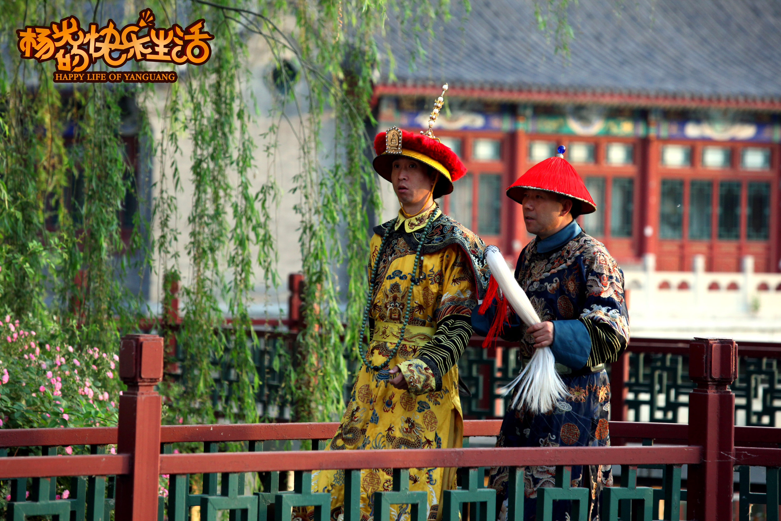 杨光的快乐生活剧照的剧照