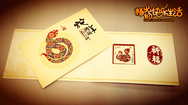 杨光的快乐生活剧照的剧照