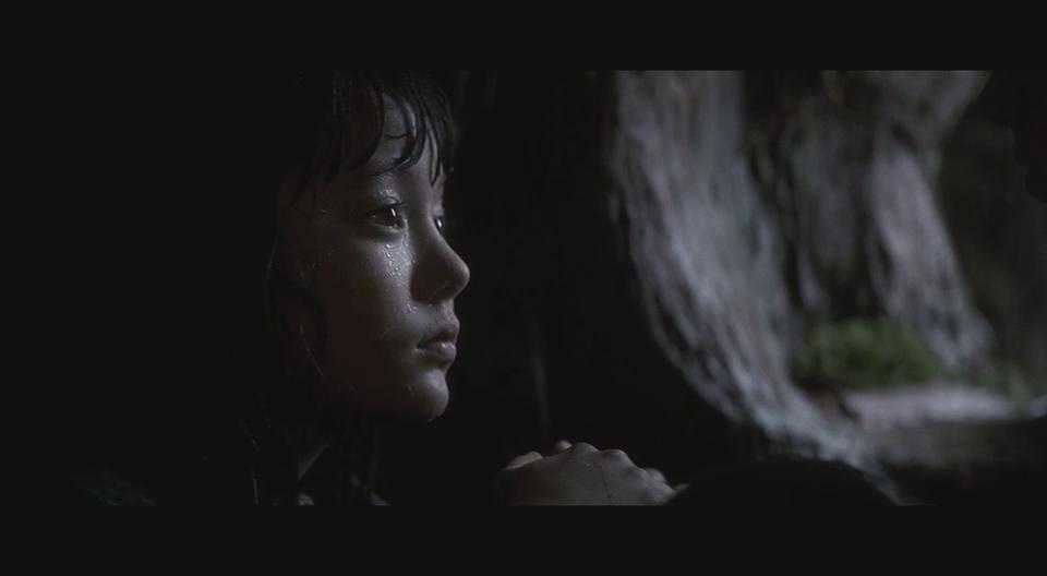 落在香杉树的雪花剧照的剧照