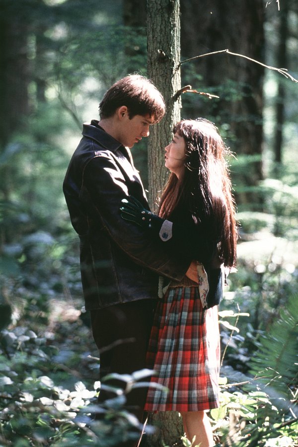 落在香杉树的雪花剧照的剧照