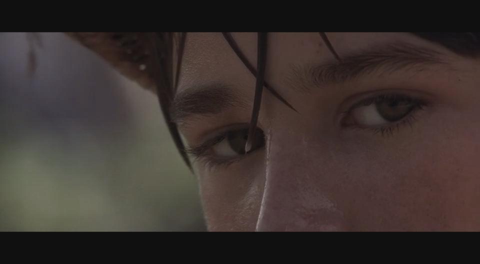 落在香杉树的雪花剧照的剧照