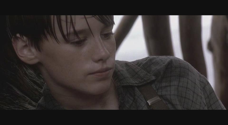 落在香杉树的雪花剧照的剧照