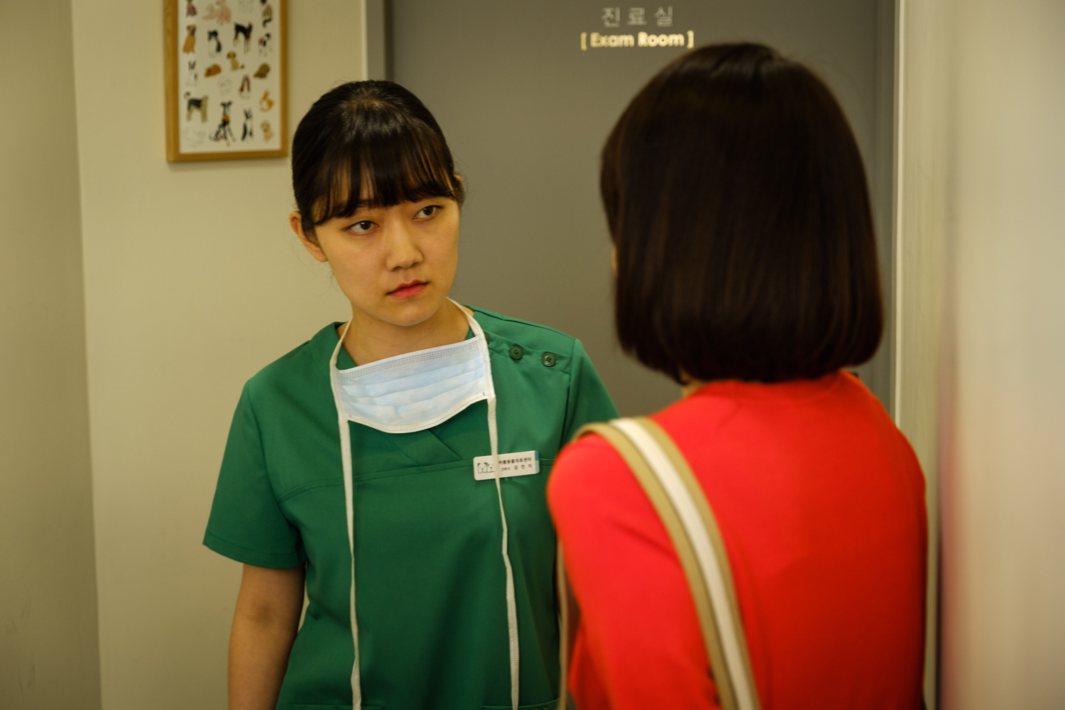 要做两次吗？剧照的剧照