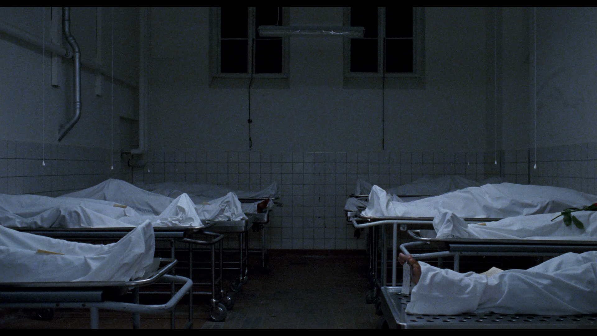 看夜更剧照的剧照