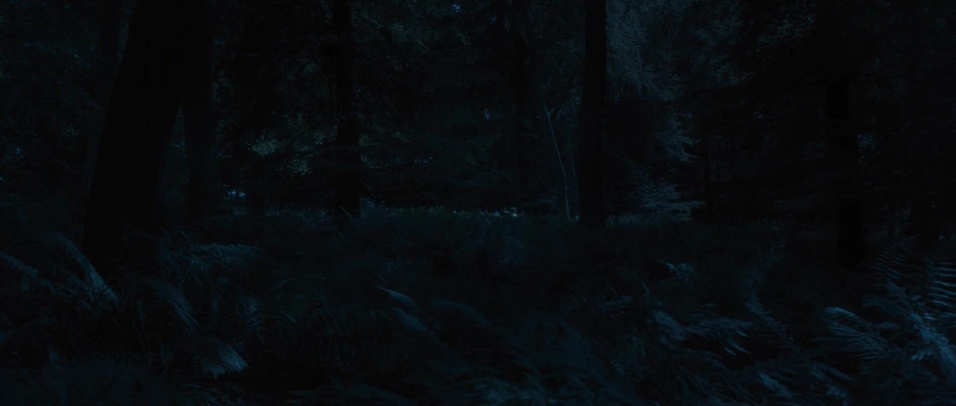 哈德逊岸边的海德公园剧照的剧照