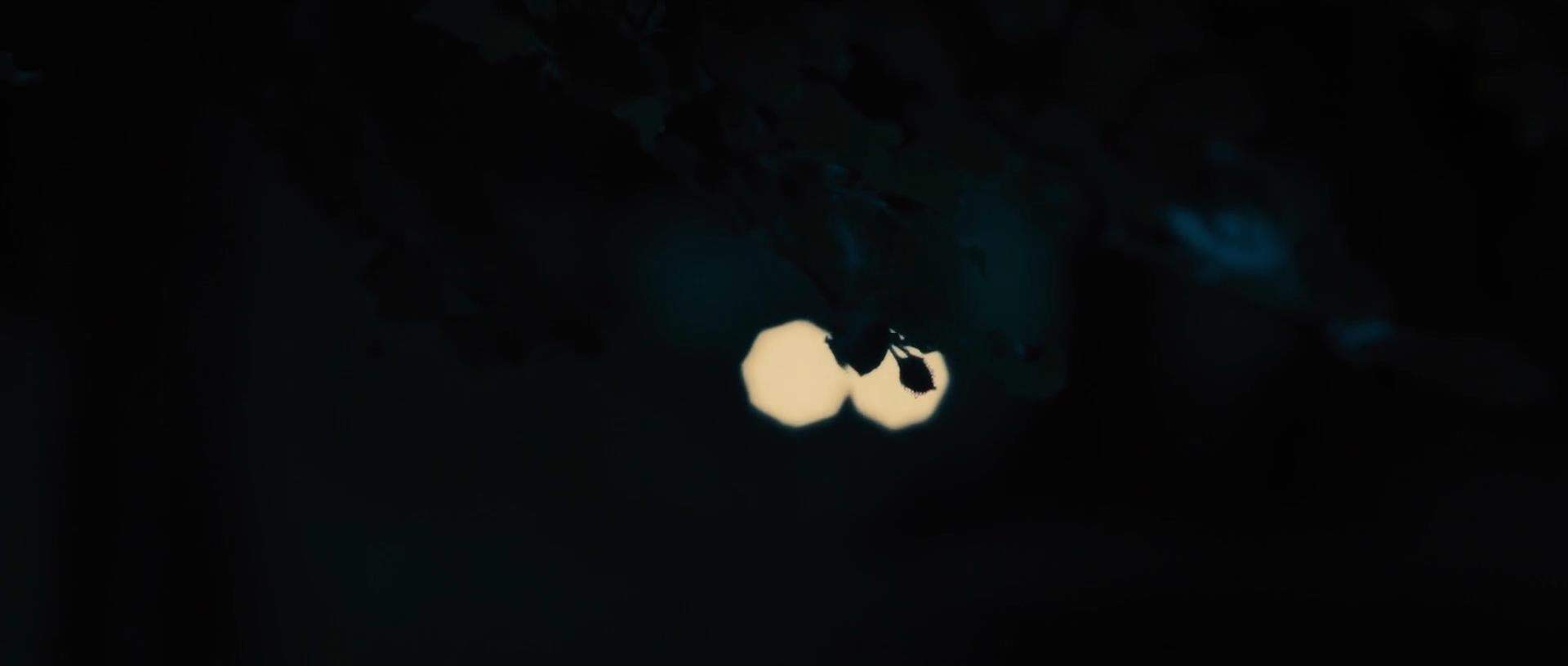 哈德逊岸边的海德公园剧照的剧照