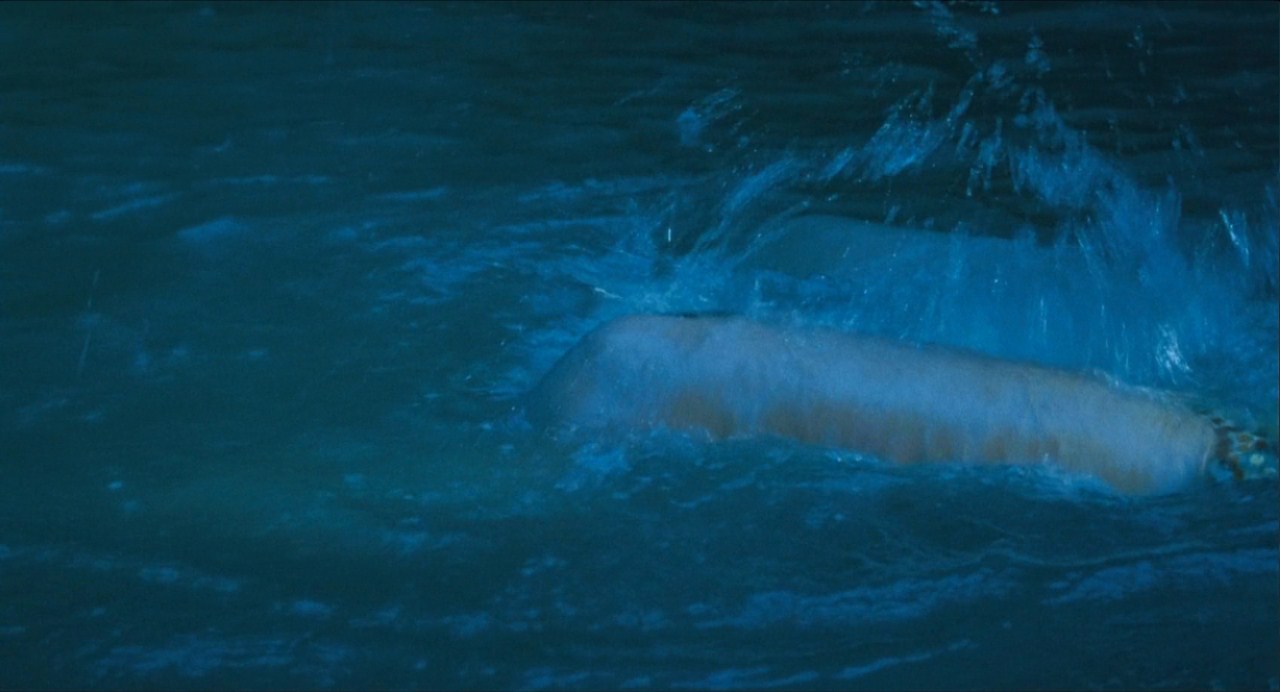 能召回前世的布米叔叔剧照的剧照