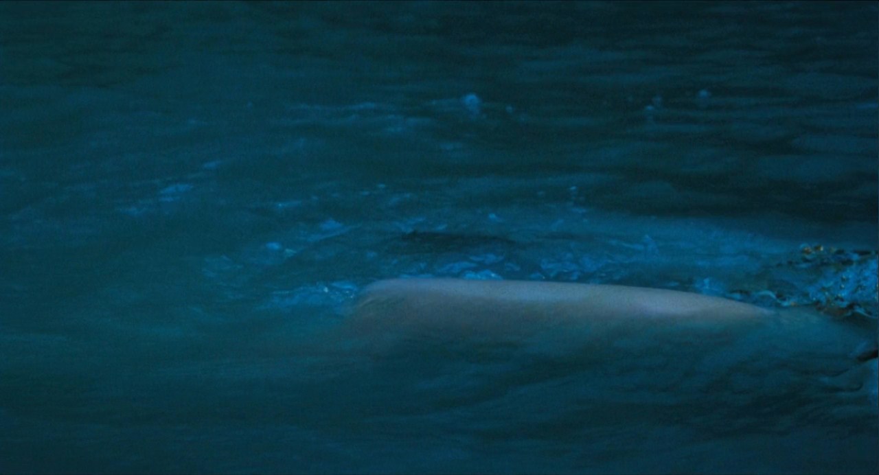 能召回前世的布米叔叔剧照的剧照