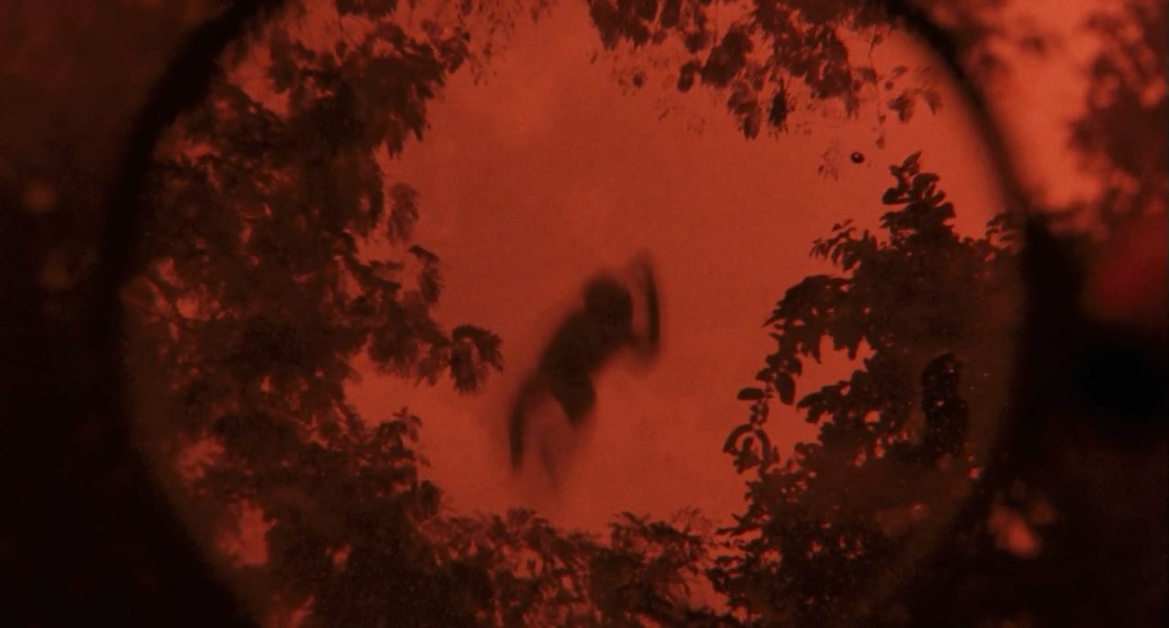 能召回前世的布米叔叔剧照的剧照