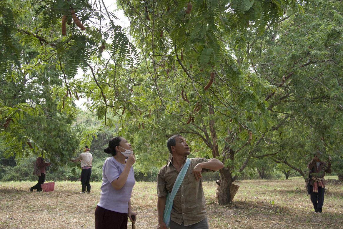 能召回前世的布米叔叔剧照的剧照