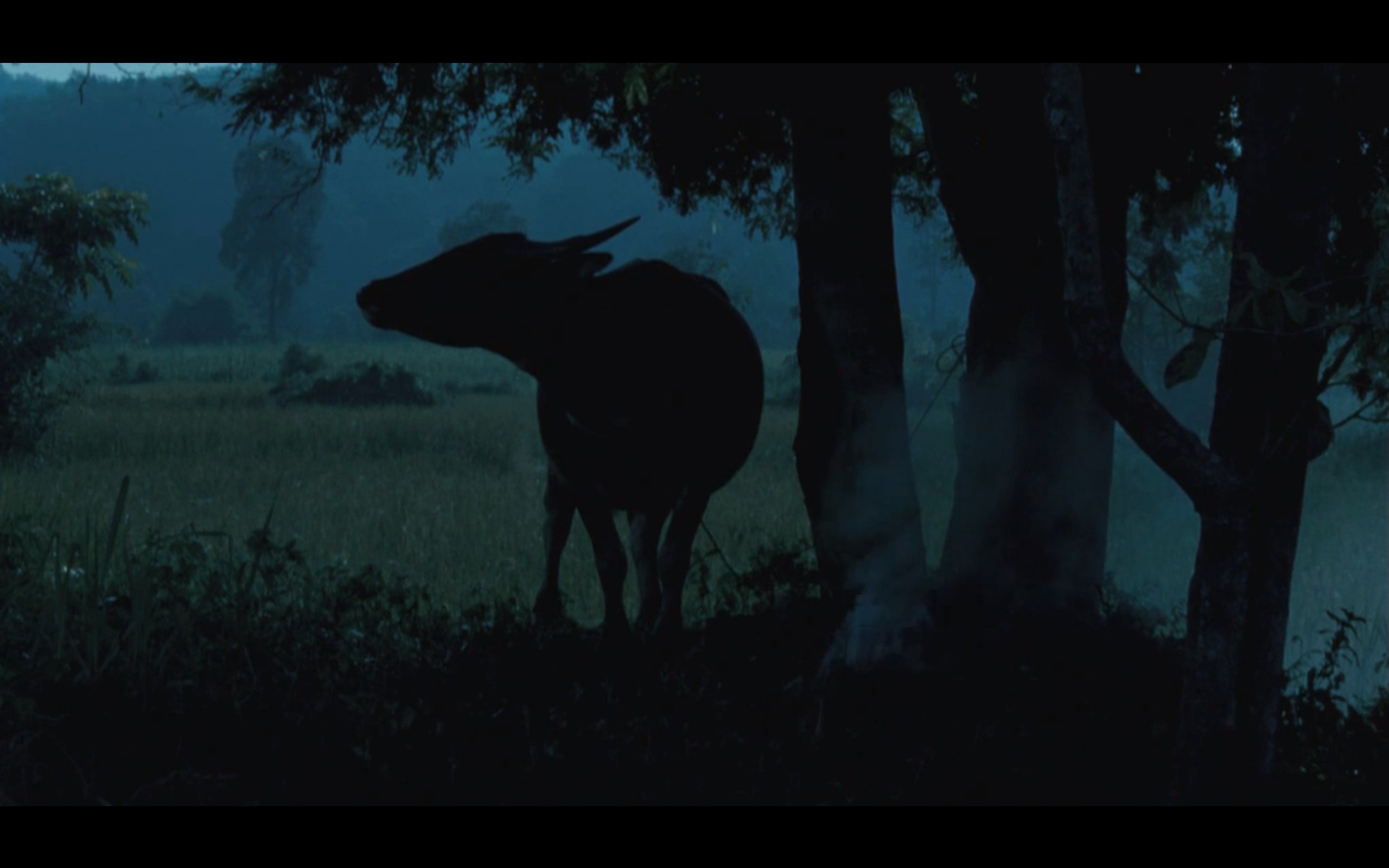 能召回前世的布米叔叔剧照的剧照