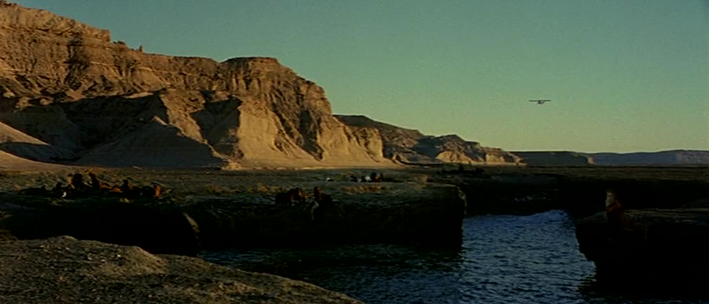 妓女与鲸鱼剧照的剧照