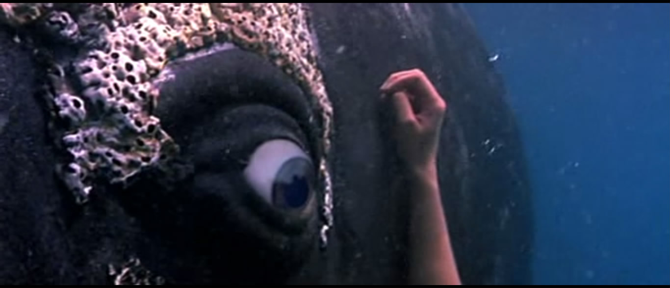 妓女与鲸鱼剧照的剧照