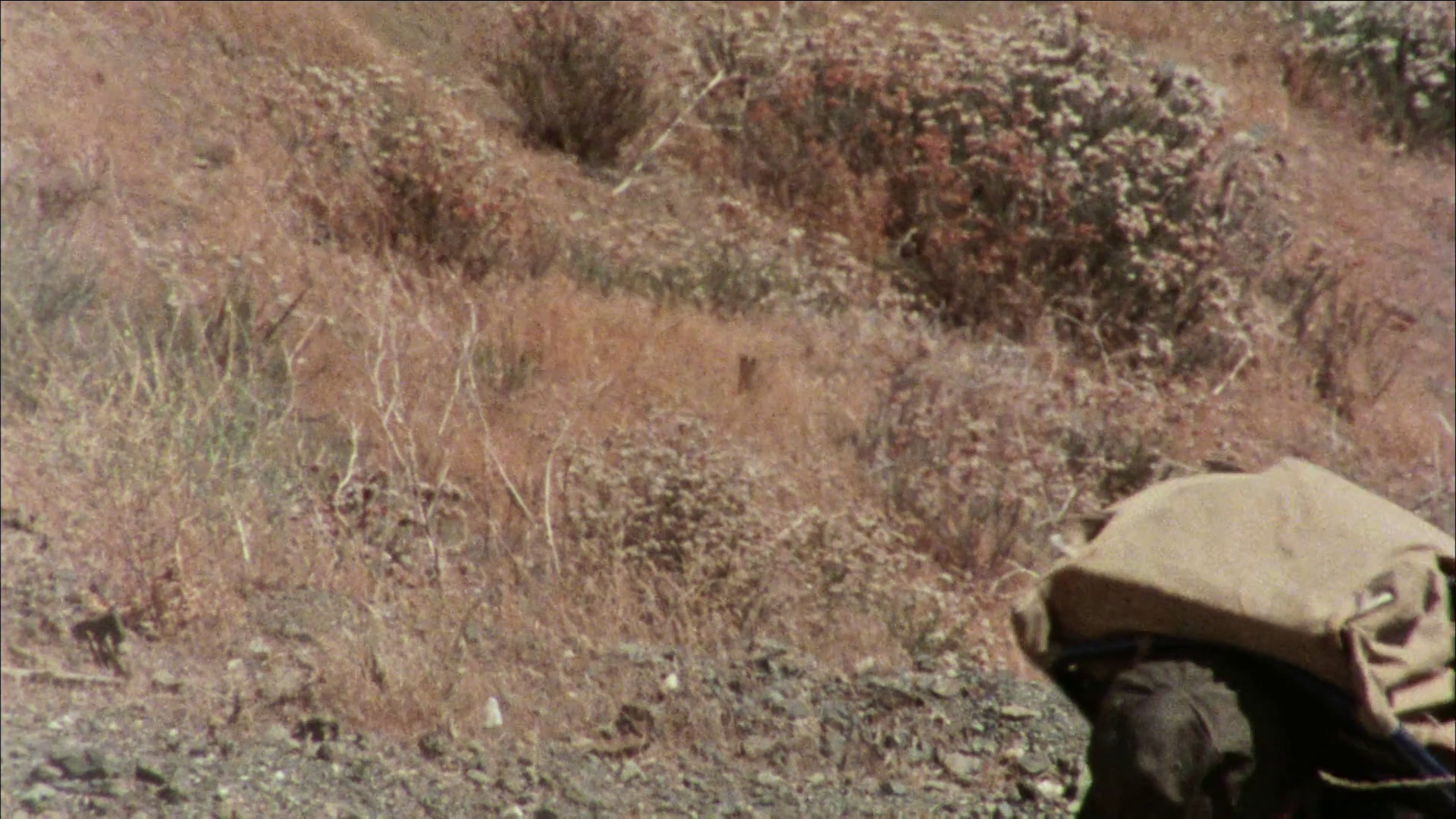 神秘洞穴剧照的剧照