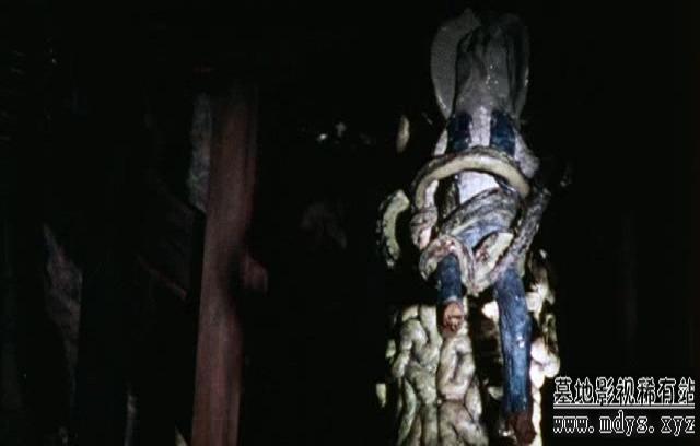 神秘洞穴剧照的剧照