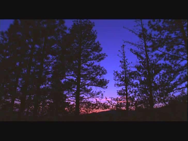 野人来袭剧照的剧照