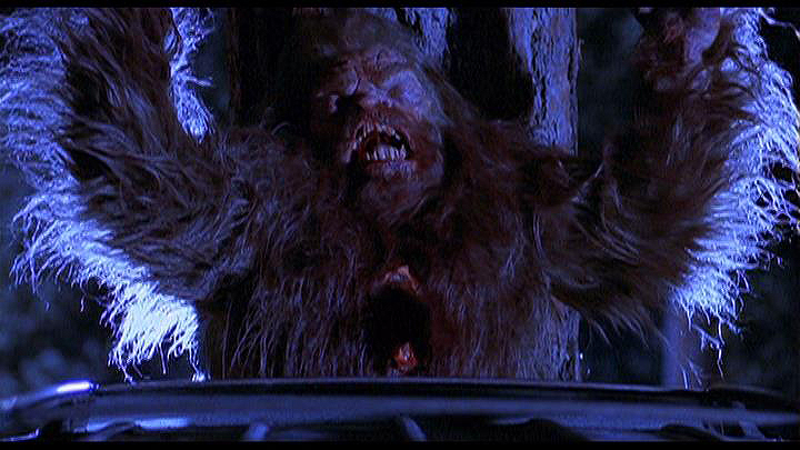 野人来袭剧照的剧照