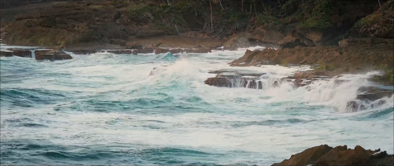 欢迎来到丛林剧照的剧照