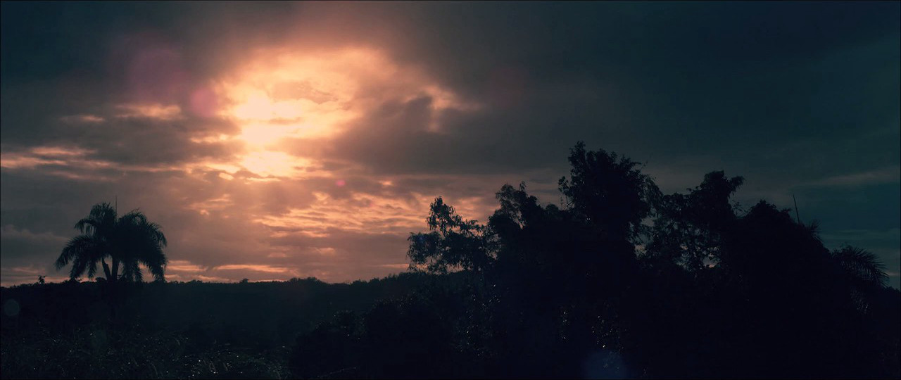 欢迎来到丛林剧照的剧照