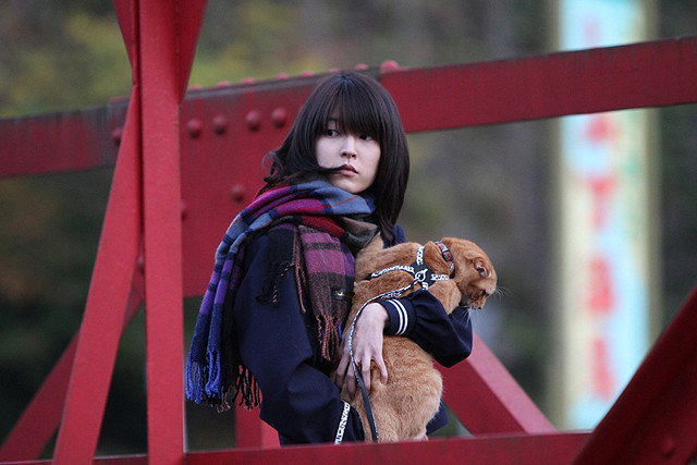 给猫橘子剧照的剧照