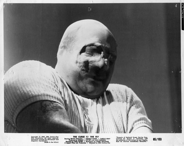 变蝇人的诅咒剧照的剧照