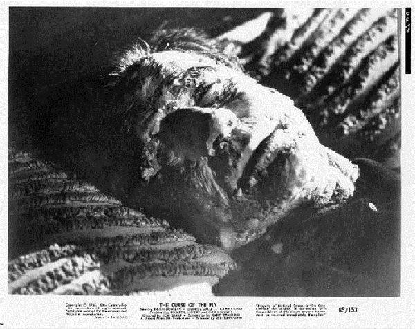 变蝇人的诅咒剧照的剧照