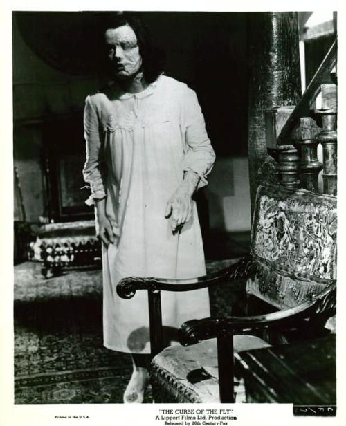 变蝇人的诅咒剧照的剧照