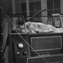 变蝇人的诅咒剧照