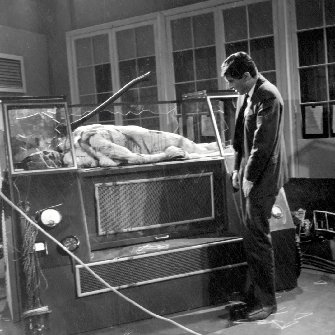 变蝇人的诅咒剧照的剧照