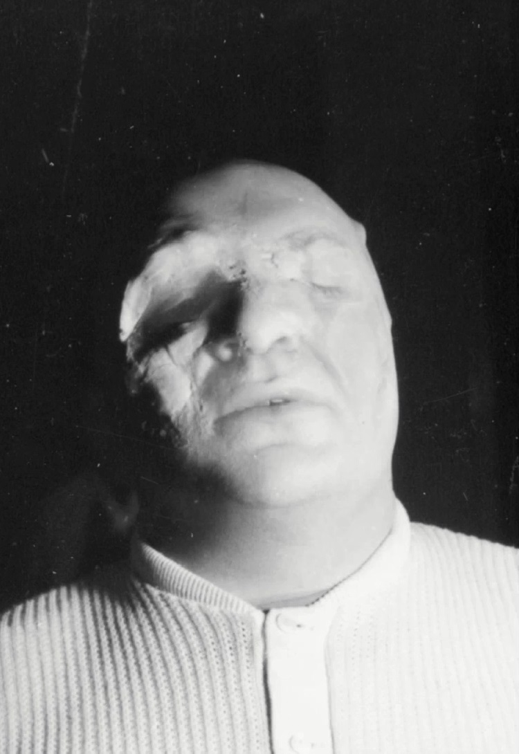 变蝇人的诅咒剧照的剧照