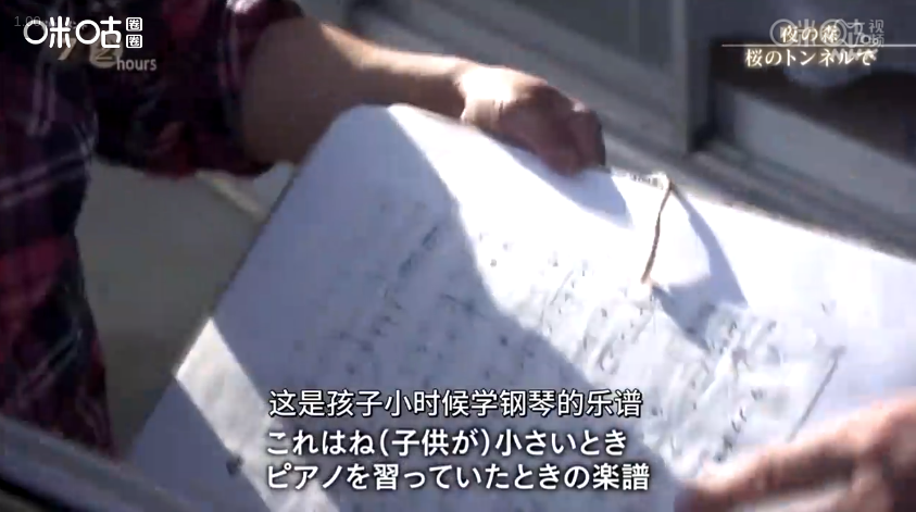 福岛夜之森 樱花隧道剧照的剧照