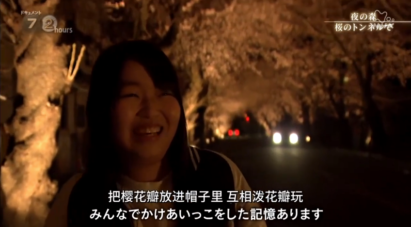 福岛夜之森 樱花隧道剧照的剧照