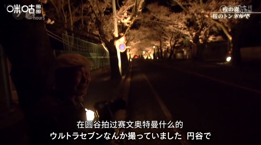 福岛夜之森 樱花隧道剧照的剧照