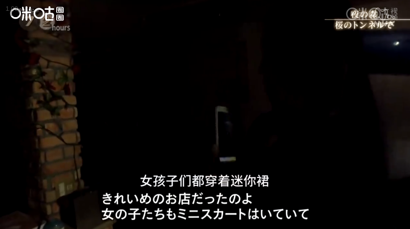 福岛夜之森 樱花隧道剧照的剧照