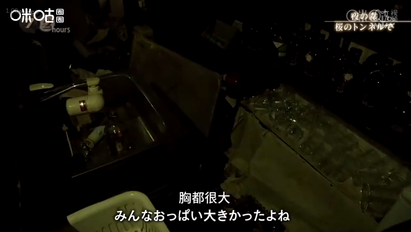 福岛夜之森 樱花隧道剧照的剧照