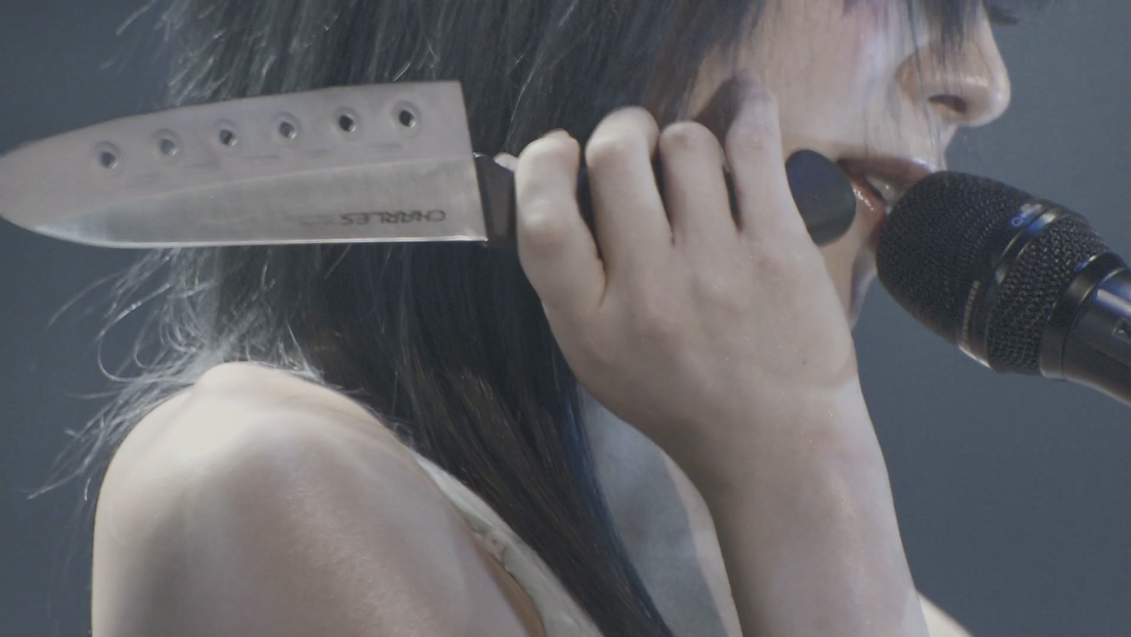 椎名林檎 (生)林檎博 08~10周年紀念祭~剧照的剧照