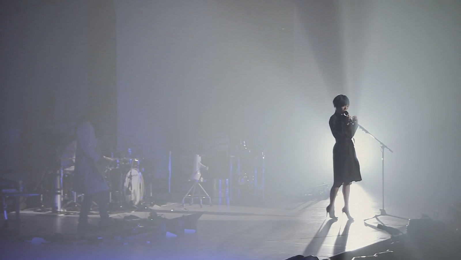 椎名林檎 (生)林檎博 08~10周年紀念祭~剧照的剧照