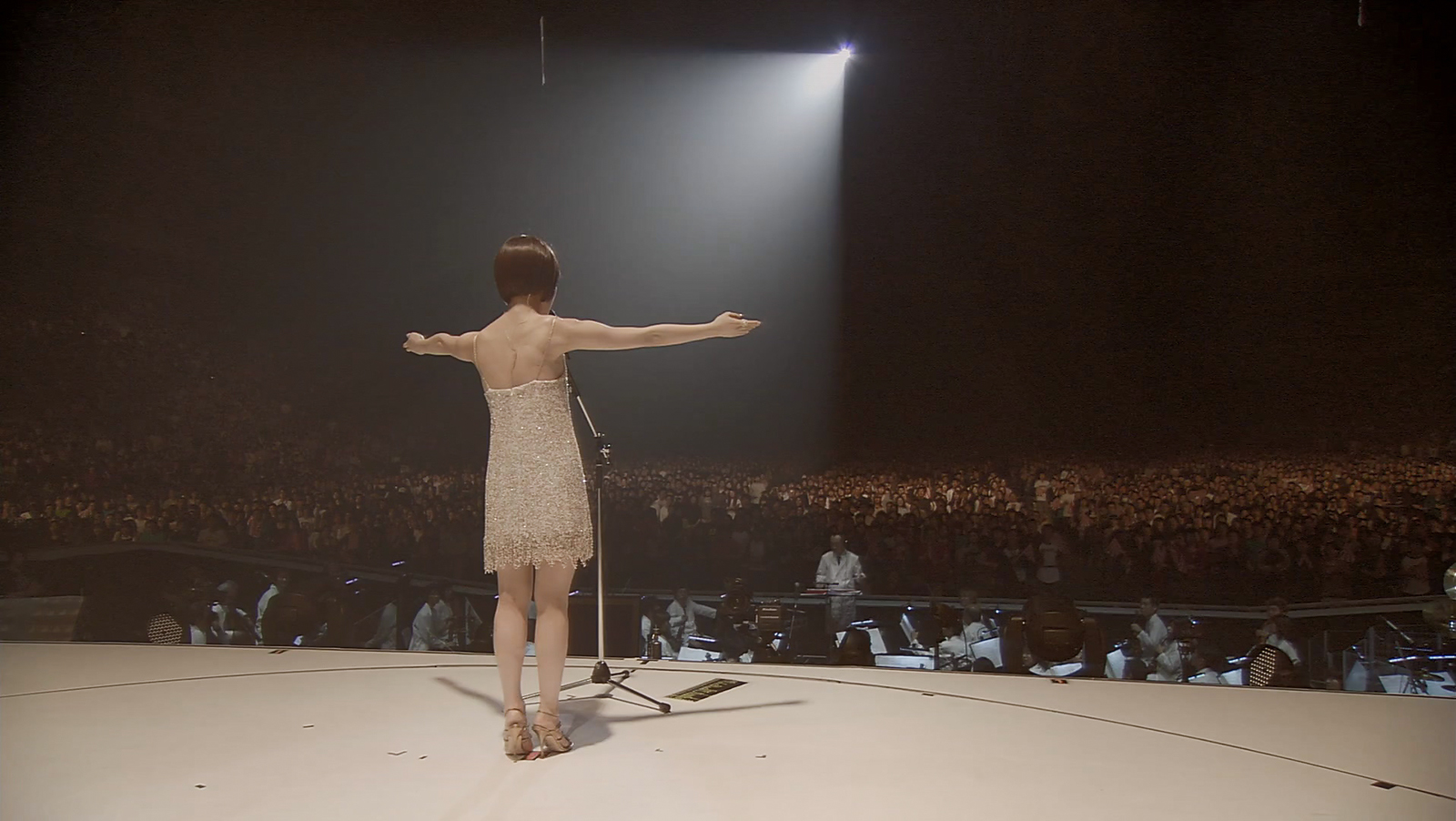 椎名林檎 (生)林檎博 08~10周年紀念祭~剧照的剧照